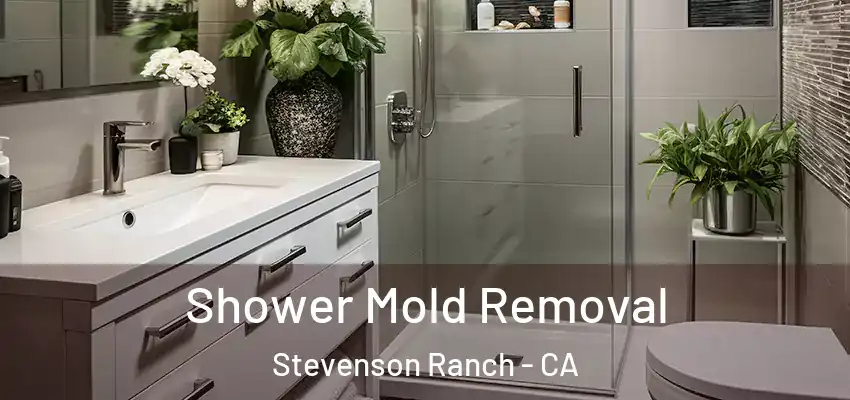  Shower Mold Removal Stevenson Ranch - CA