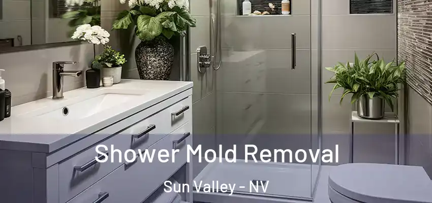  Shower Mold Removal Sun Valley - NV