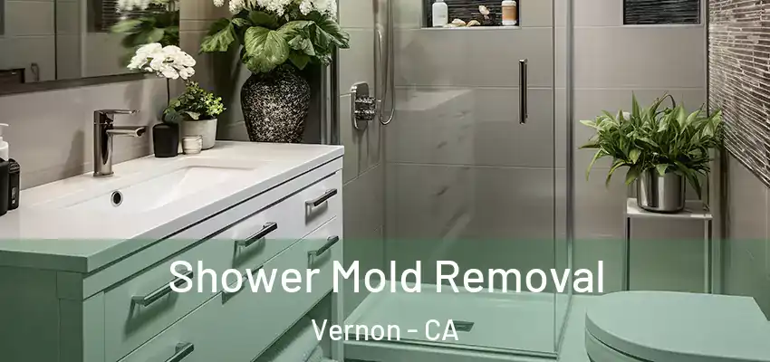  Shower Mold Removal Vernon - CA