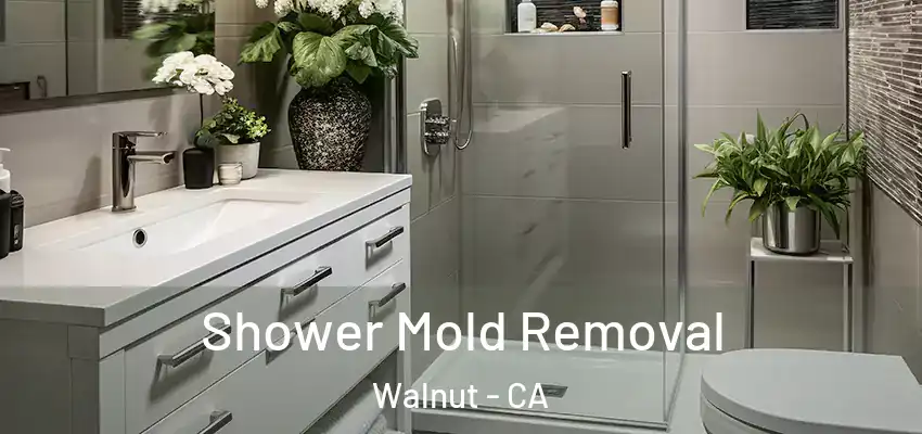 Shower Mold Removal Walnut - CA