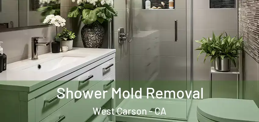  Shower Mold Removal West Carson - CA