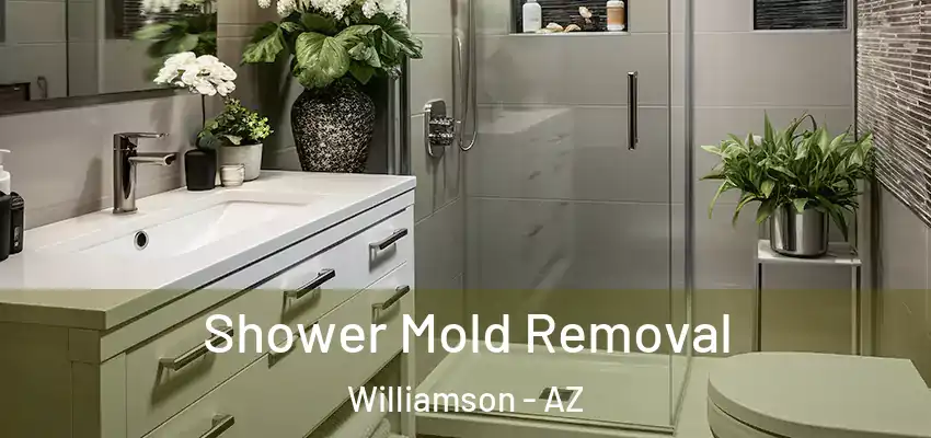  Shower Mold Removal Williamson - AZ