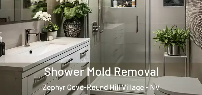  Shower Mold Removal Zephyr Cove-Round Hill Village - NV